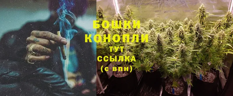 ссылка на мегу ссылки  наркотики  Тогучин  Канабис White Widow 